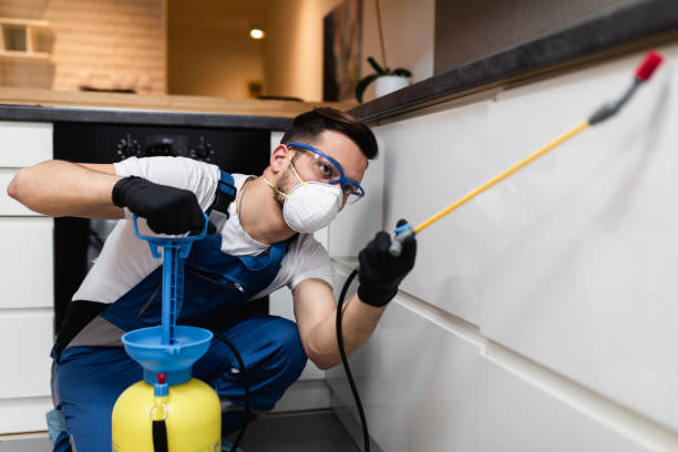 Best Exterminator Services  in St Marys, WV