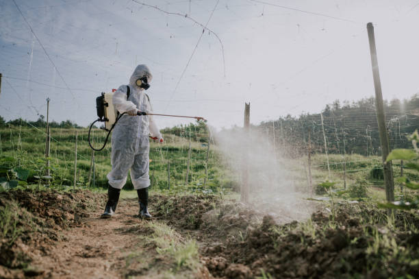 Best Termite Control Services  in St Marys, WV
