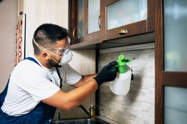 Best Pest Prevention Services  in St Marys, WV