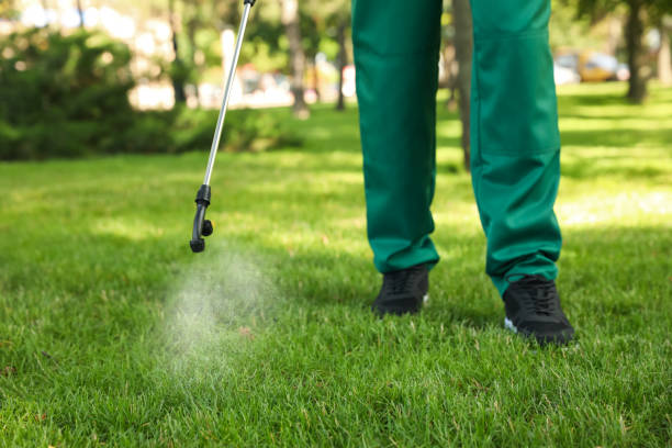 Best Pest Control for Restaurants  in St Marys, WV