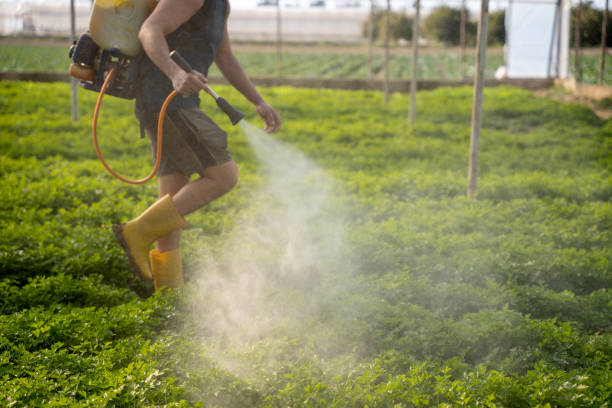 Best Pest Removal Services  in St Marys, WV
