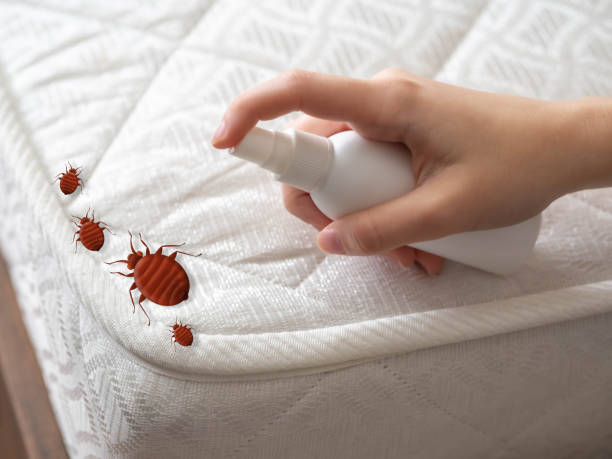 Best Pest Inspection Near Me  in St Marys, WV